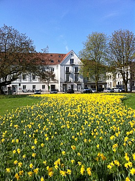 Ansicht des Ortsamtes im Hintergrund einer Blumenwiese